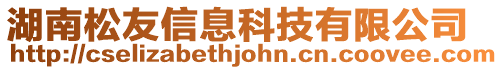 湖南松友信息科技有限公司
