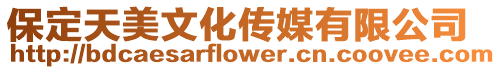 保定天美文化傳媒有限公司