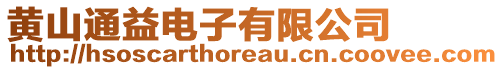 黃山通益電子有限公司