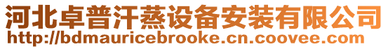河北卓普汗蒸設(shè)備安裝有限公司