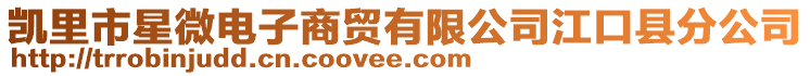 凱里市星微電子商貿有限公司江口縣分公司