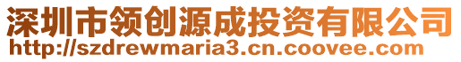 深圳市領(lǐng)創(chuàng)源成投資有限公司