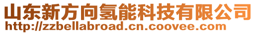 山東新方向氫能科技有限公司