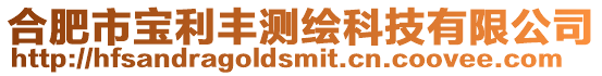 合肥市寶利豐測繪科技有限公司