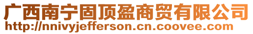 廣西南寧固頂盈商貿有限公司