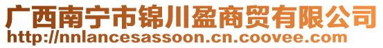 廣西南寧市錦川盈商貿有限公司
