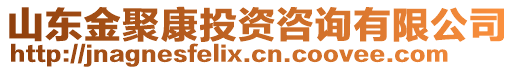 山東金聚康投資咨詢有限公司