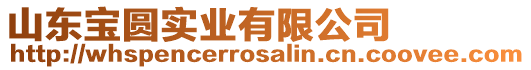 山東寶圓實業有限公司