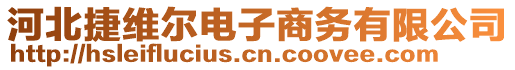 河北捷維爾電子商務有限公司