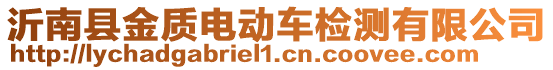 沂南縣金質電動車檢測有限公司
