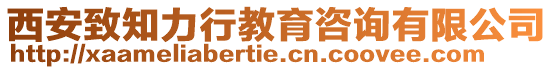 西安致知力行教育咨詢有限公司