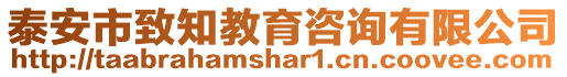 泰安市致知教育咨詢有限公司