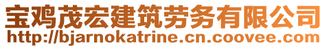 寶雞茂宏建筑勞務有限公司