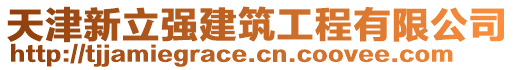 天津新立強(qiáng)建筑工程有限公司