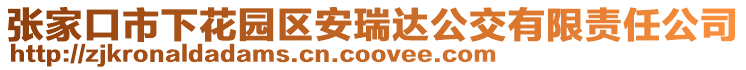 張家口市下花園區安瑞達公交有限責任公司