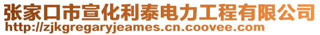 張家口市宣化利泰電力工程有限公司