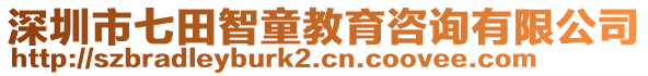 深圳市七田智童教育咨詢有限公司