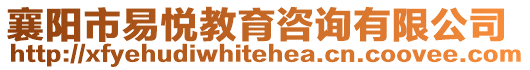 襄陽市易悅教育咨詢有限公司