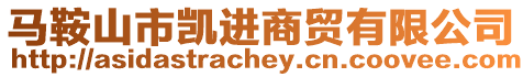 馬鞍山市凱進商貿有限公司