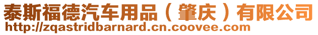 泰斯福德汽車用品（肇慶）有限公司