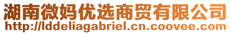 湖南微媽優選商貿有限公司