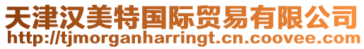天津漢美特國際貿易有限公司
