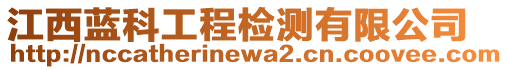 江西藍(lán)科工程檢測(cè)有限公司