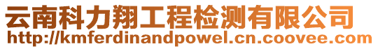 云南科力翔工程檢測有限公司