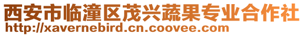 西安市臨潼區茂興蔬果專業合作社