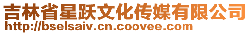 吉林省星躍文化傳媒有限公司
