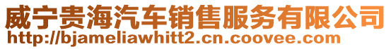威寧貴海汽車銷售服務有限公司