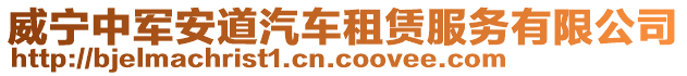 威寧中軍安道汽車租賃服務有限公司