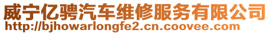 威寧億騁汽車維修服務(wù)有限公司