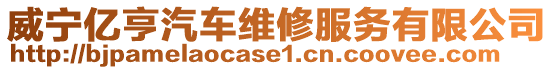 威寧億亨汽車維修服務有限公司