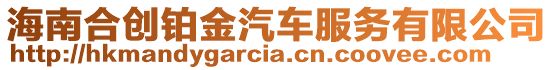 海南合創鉑金汽車服務有限公司