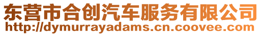 東營市合創汽車服務有限公司