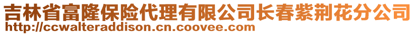 吉林省富隆保險代理有限公司長春紫荊花分公司