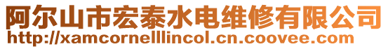 阿爾山市宏泰水電維修有限公司
