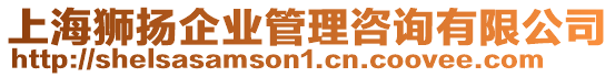上海獅揚(yáng)企業(yè)管理咨詢有限公司