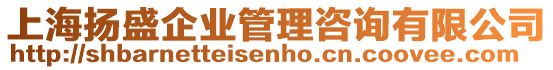 上海揚盛企業管理咨詢有限公司