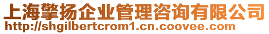 上海擎揚企業管理咨詢有限公司