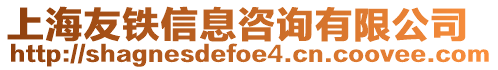 上海友鐵信息咨詢有限公司