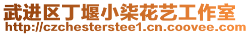 武進(jìn)區(qū)丁堰小柒花藝工作室