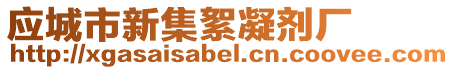 應城市新集絮凝劑廠
