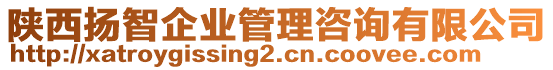 陜西揚(yáng)智企業(yè)管理咨詢有限公司
