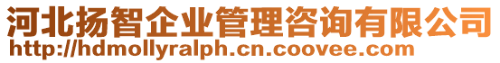 河北揚智企業管理咨詢有限公司