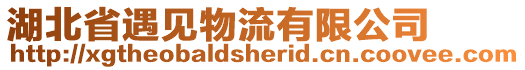 湖北省遇見物流有限公司
