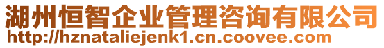 湖州恒智企業管理咨詢有限公司