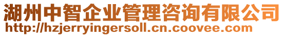 湖州中智企業管理咨詢有限公司