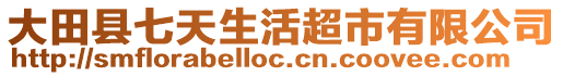 大田縣七天生活超市有限公司
